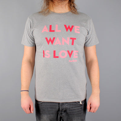 All We Want T-shirt Grey